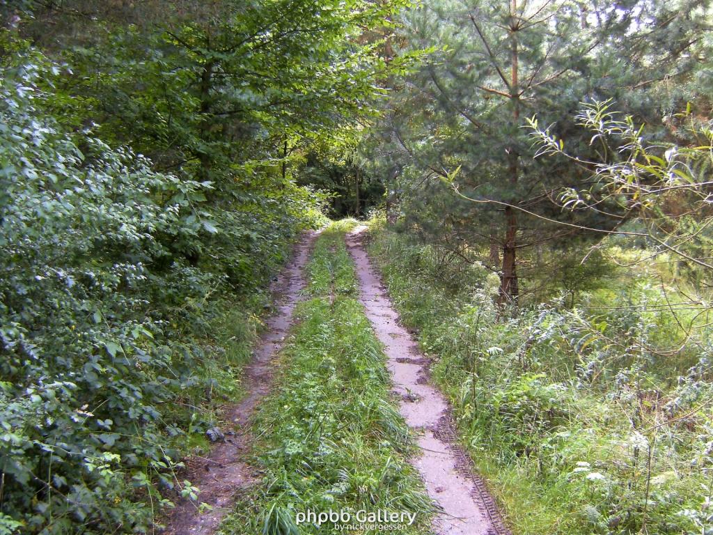 Wendehausen Treffurt 33  29082010