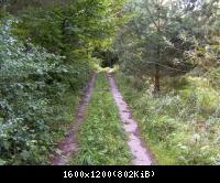 Wendehausen Treffurt 33  29082010