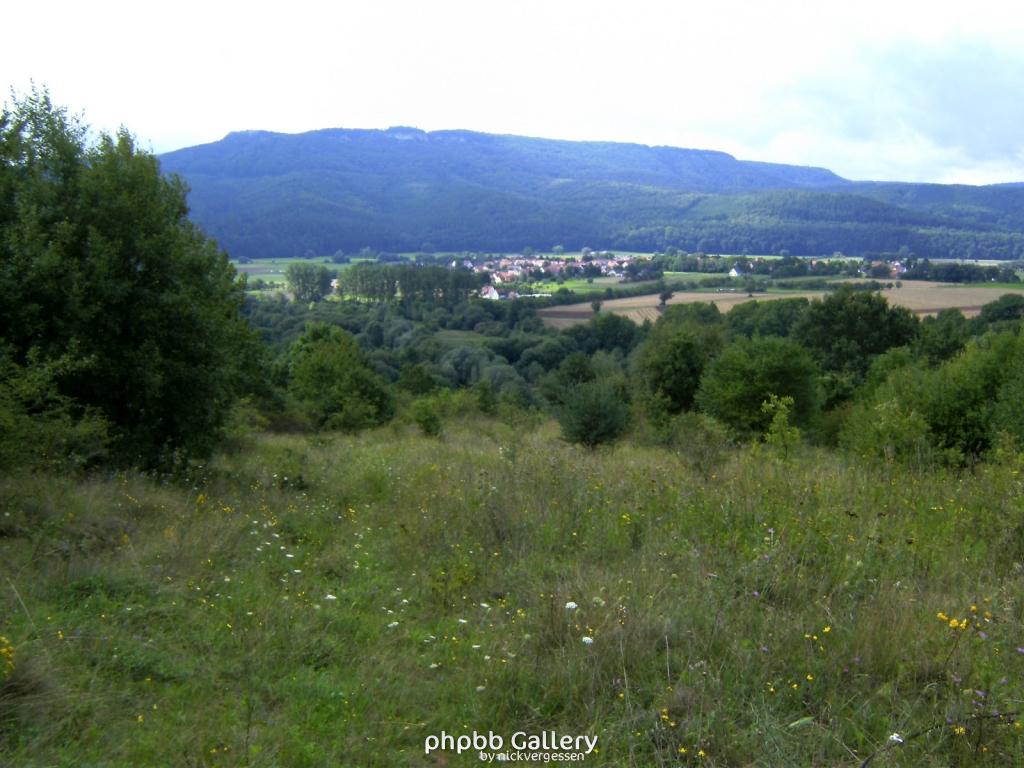 Wendehausen Treffurt 39  29082010