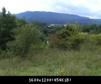 Wendehausen Treffurt 42  29082010