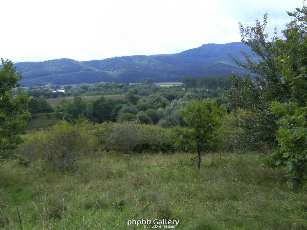 Wendehausen Treffurt 43  29082010