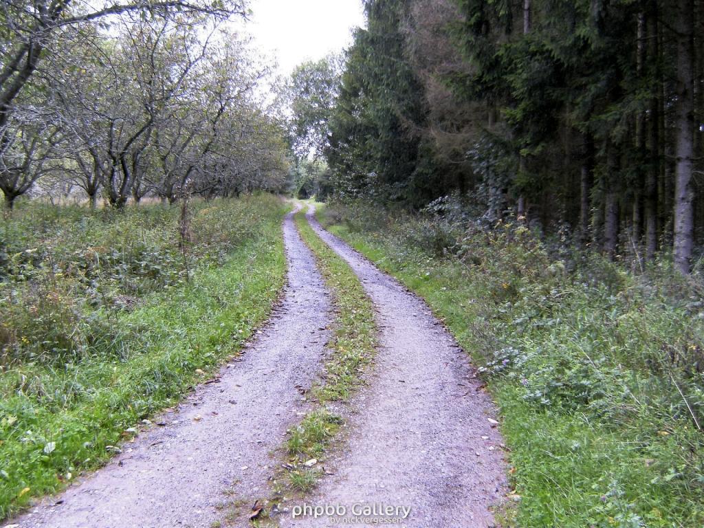 Wendehausen Treffurt 49  29082010