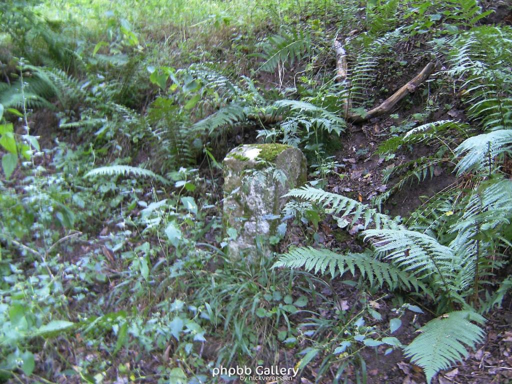 Wendehausen Treffurt 50  29082010