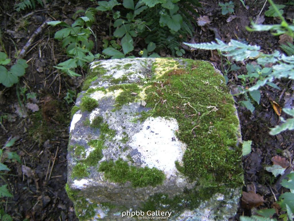 Wendehausen Treffurt 51  29082010