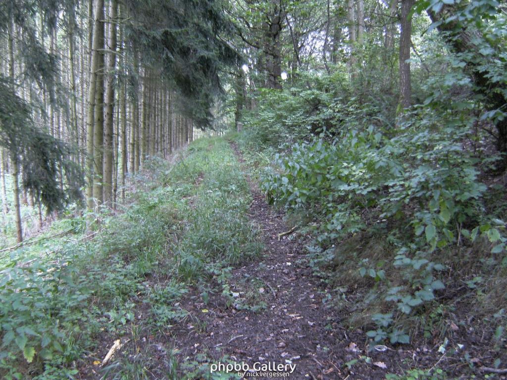 Wendehausen Treffurt 52  29082010
