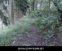 Wendehausen Treffurt 52  29082010