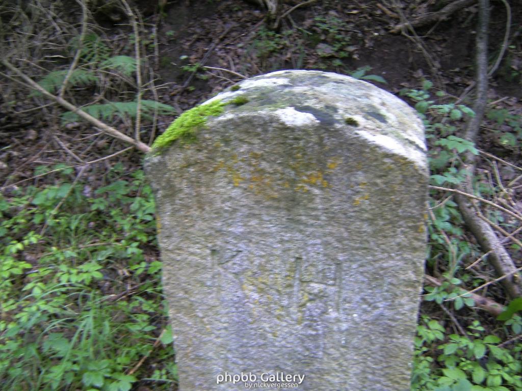 Wendehausen Treffurt 53  29082010
