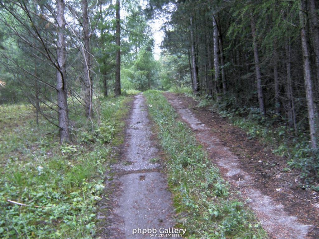 Wendehausen Treffurt 55  29082010