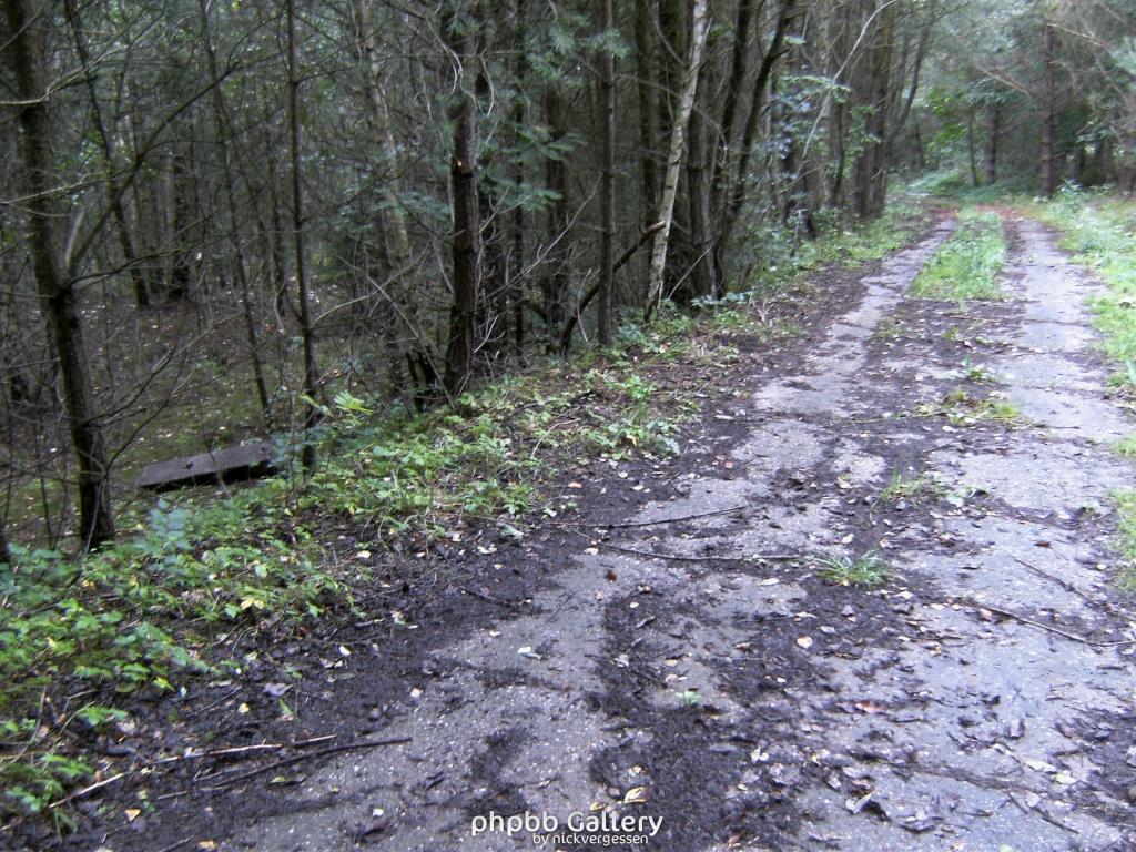 Wendehausen Treffurt 57  29082010