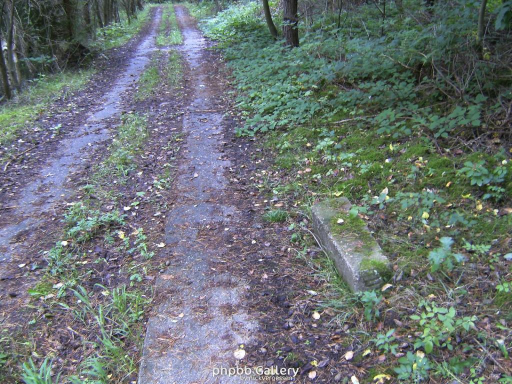 Wendehausen Treffurt 58  29082010