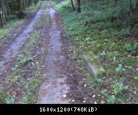 Wendehausen Treffurt 58  29082010