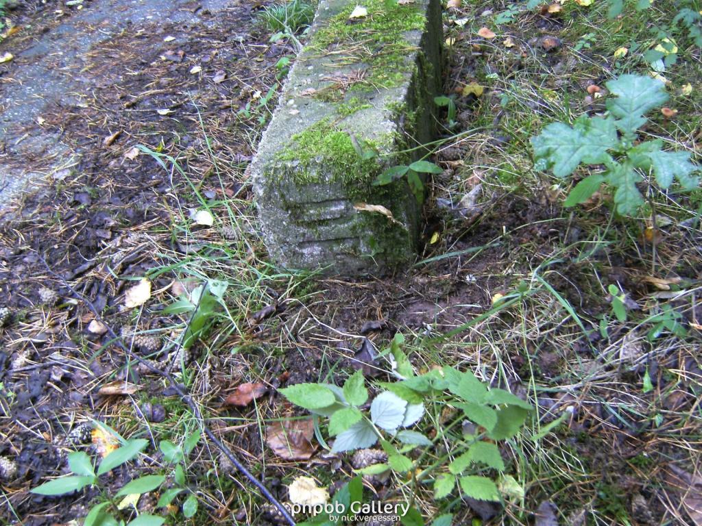 Wendehausen Treffurt 59  29082010