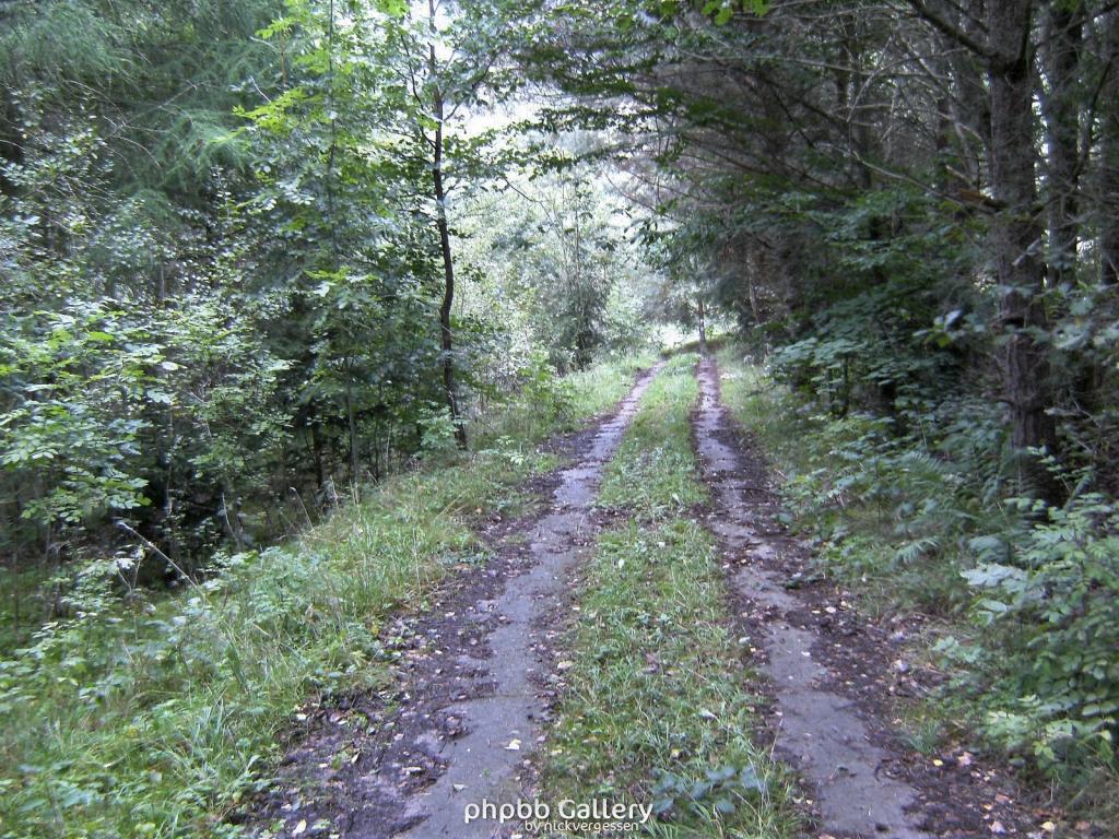 Wendehausen Treffurt 60  29082010