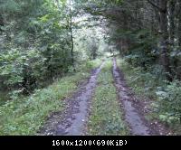 Wendehausen Treffurt 60  29082010