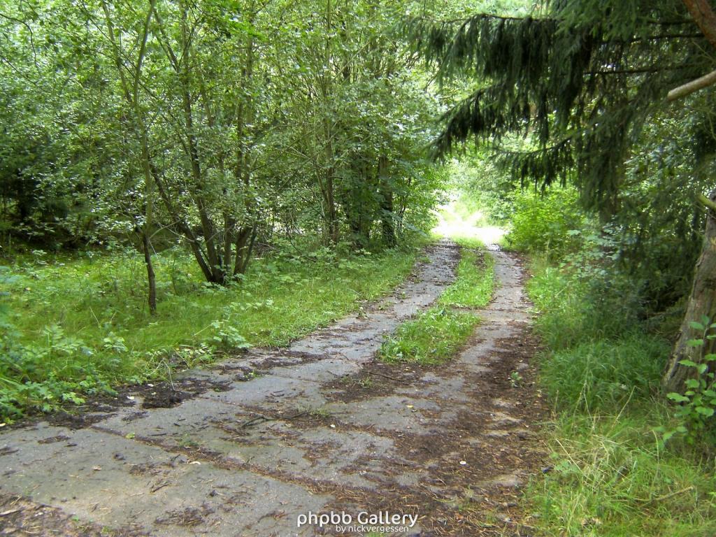 Wendehausen Treffurt 61  29082010