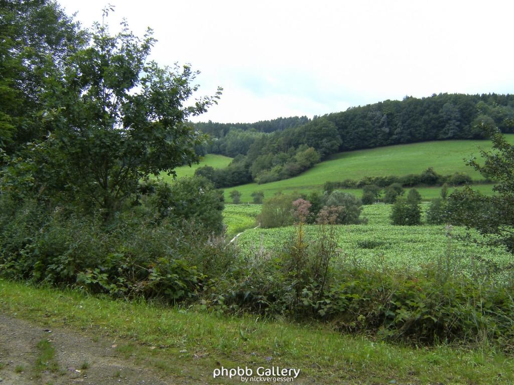 Wendehausen Treffurt 62  29082010