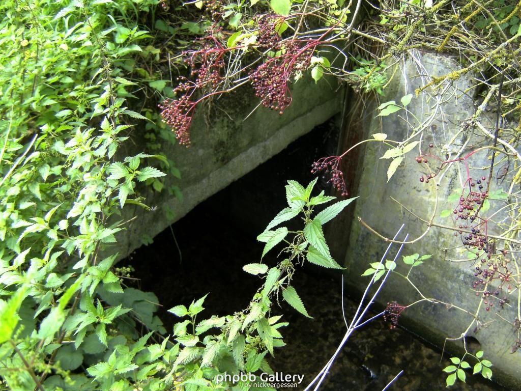 Wendehausen Treffurt 64  29082010