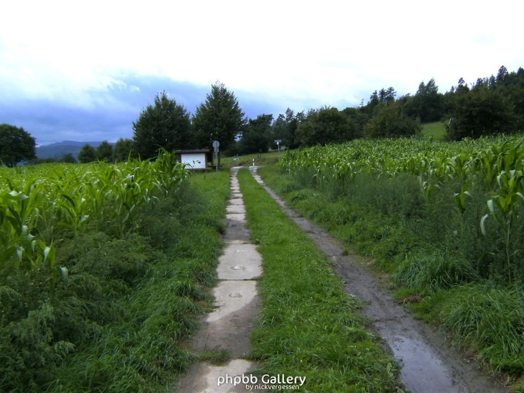 Wendehausen Treffurt 65  29082010