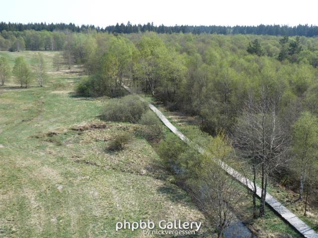 P1000388