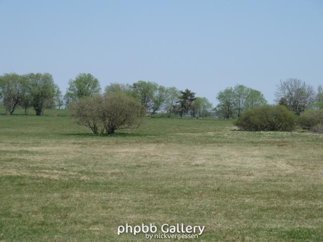 P1000406