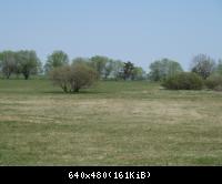 P1000406