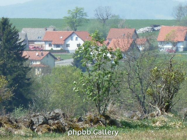 P1000408