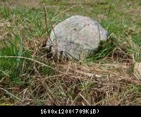 Grossburschlaer Sack I 55 03042011