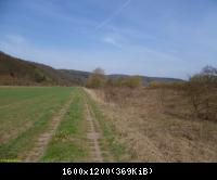 Grossburschlaer Sack I 20 03042011