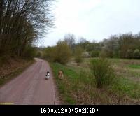 Grossburschlaer Sack2 10 17042011