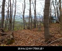 Grossburschlaer Sack2 29 17042011