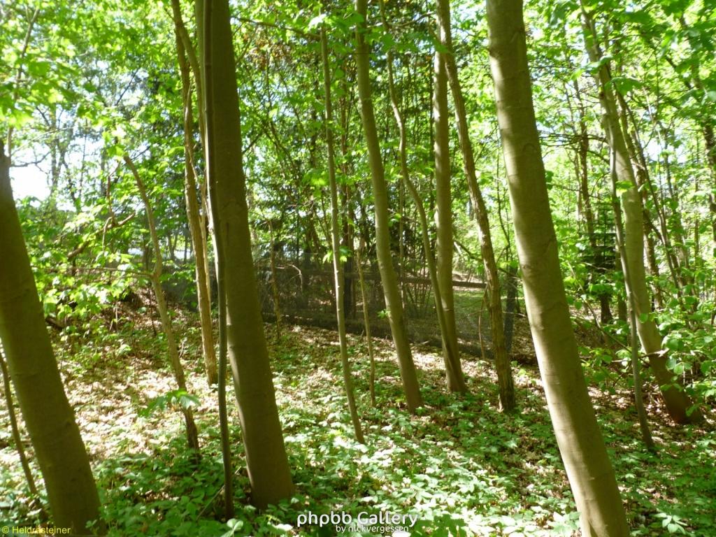 Boizenburg 29 30042011