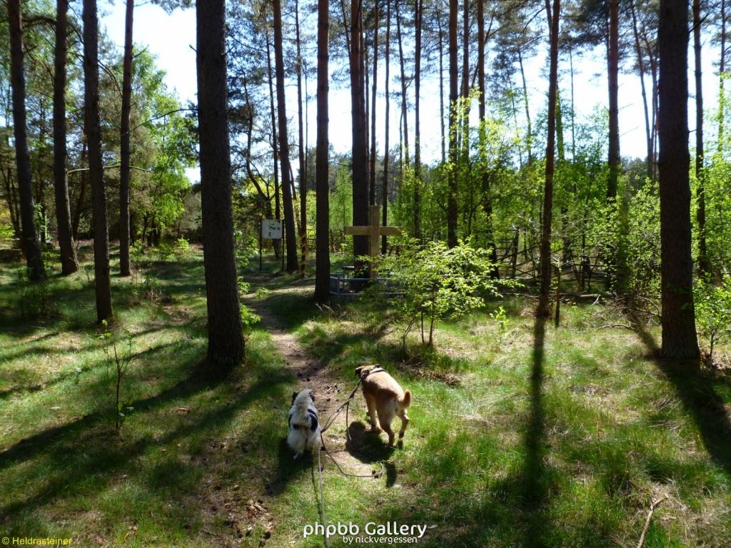 Boizenburg 35 30042011