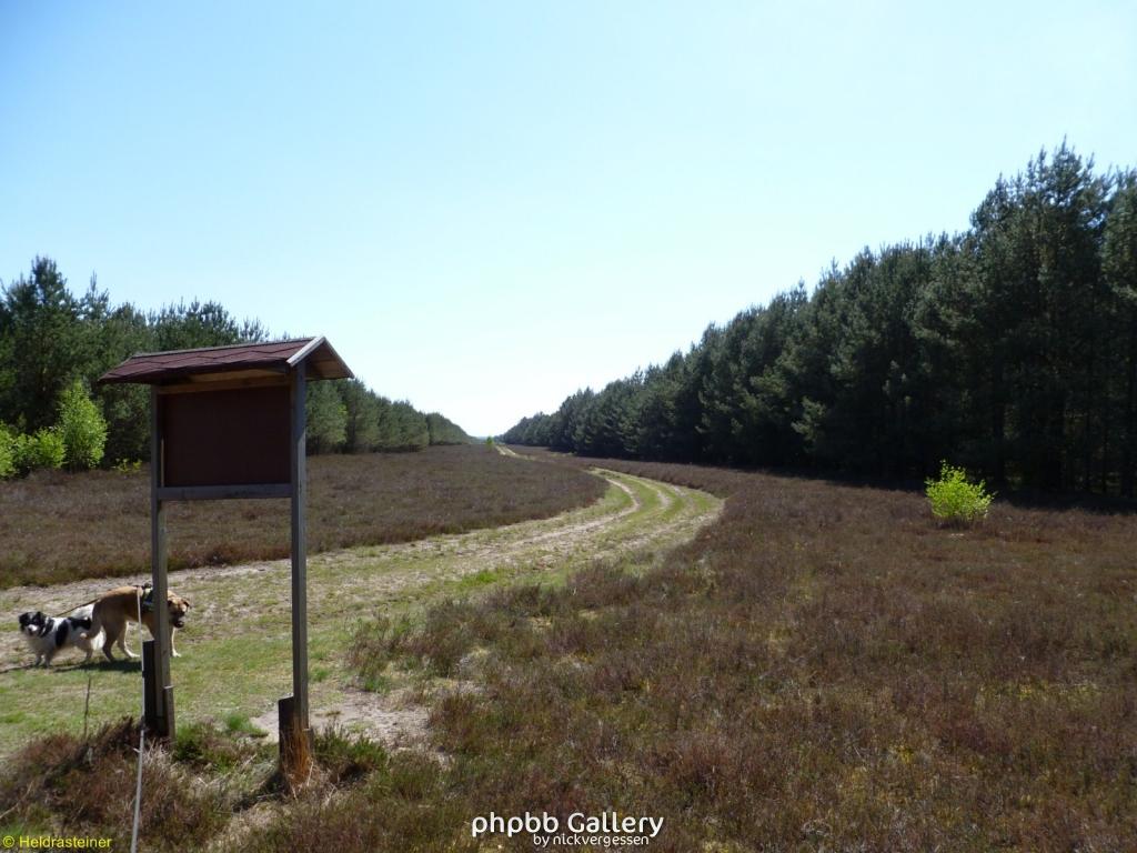 Boizenburg 42 30042011