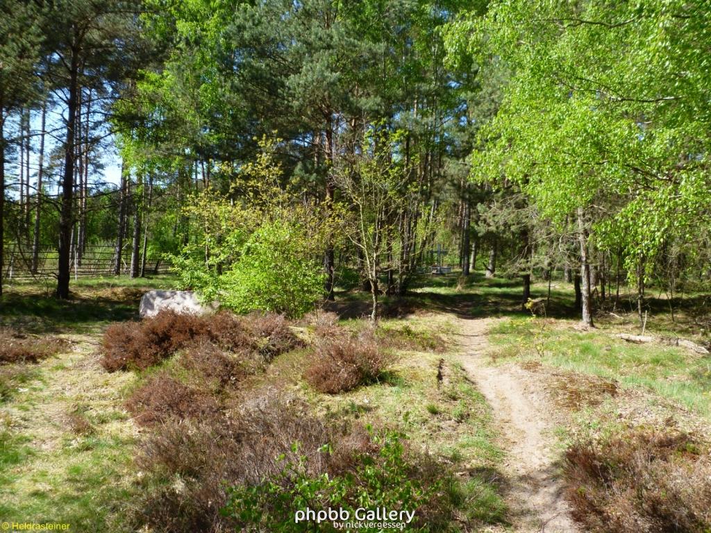 Boizenburg 48 30042011