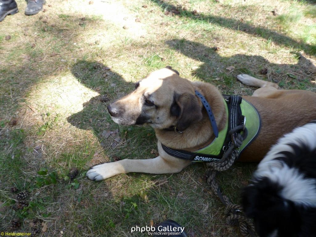 Boizenburg 56 30042011