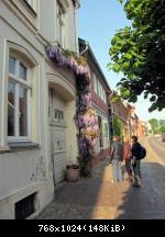 IMG 5497-1024