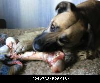 BILD0049