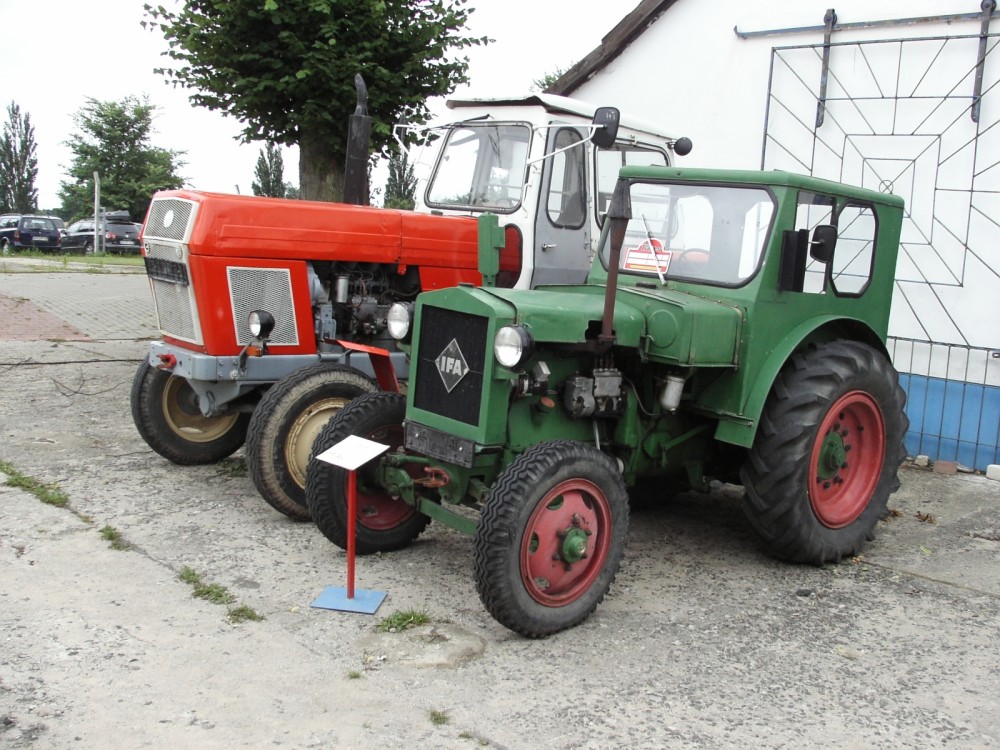 RIF 5461