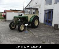 RIF 5463