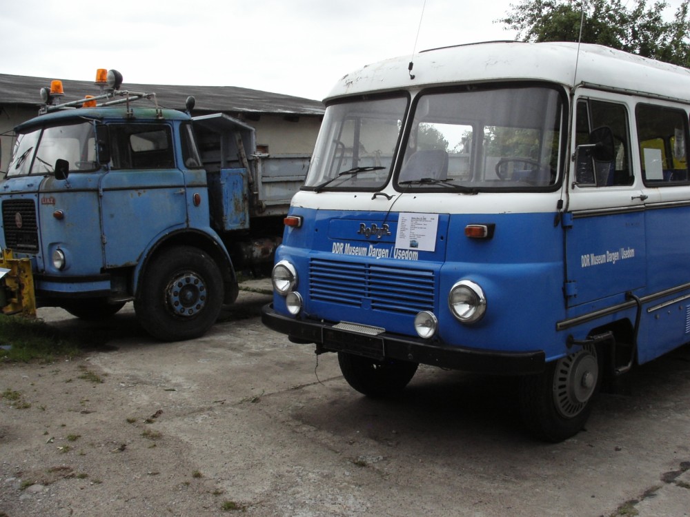 RIF 5465