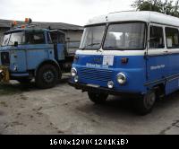 RIF 5465