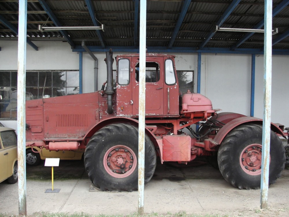 RIF 5466