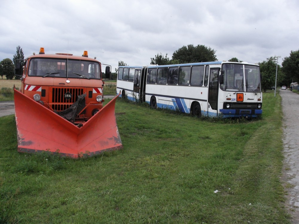 RIF 5504