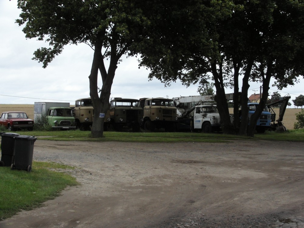 RIF 5505