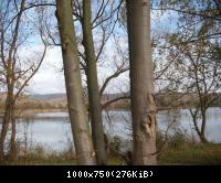 8. Blick zu den Inseln