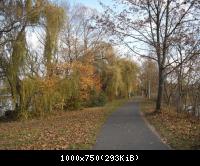 11. Rundweg gegenüber Leuchtberg.