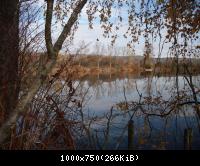 36. Teich 3.1