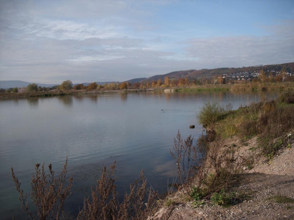 44. Ostufer Blick nach Grebendorf