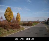 58. Zur Einfahrt Knaus