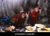 Gruesse aus Venezuela